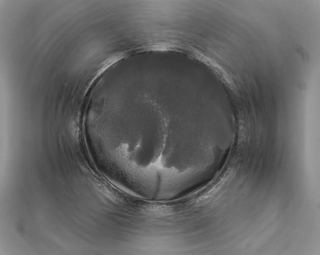 X0000112881170200909041635