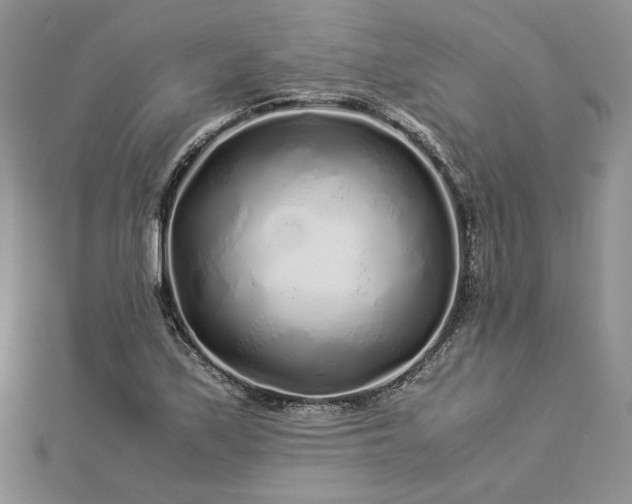 X0000112881171200909041635