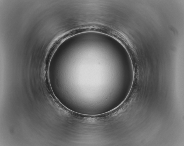 X0000112881172200909041635