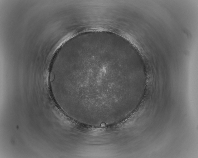 X0000112881173200909041635