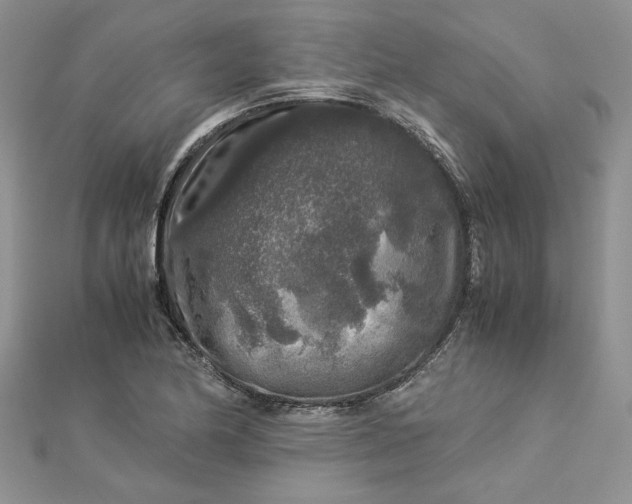 X0000112881174200909041635