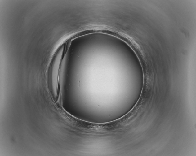 X0000112881175200909041635