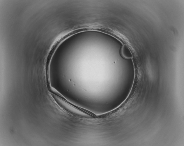 X0000112881176200909041635