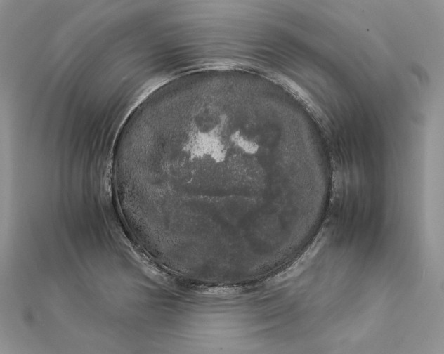 X0000112881178200909041635