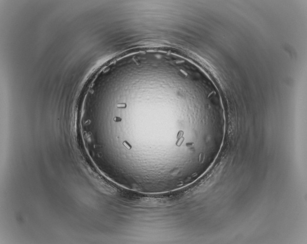 X0000112881179200909041635