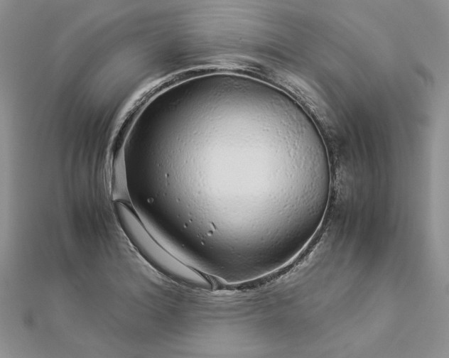 X0000112881180200909041635