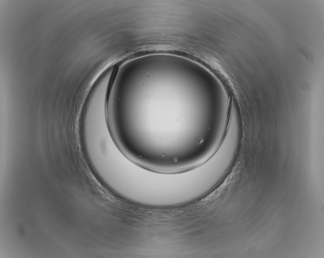 X0000112881181200909041635