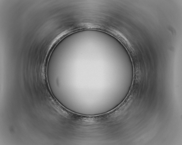 X0000112881182200909041635