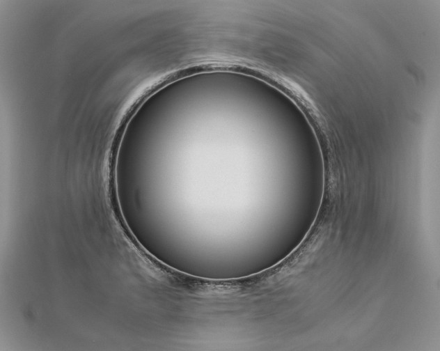 X0000112881183200909041635