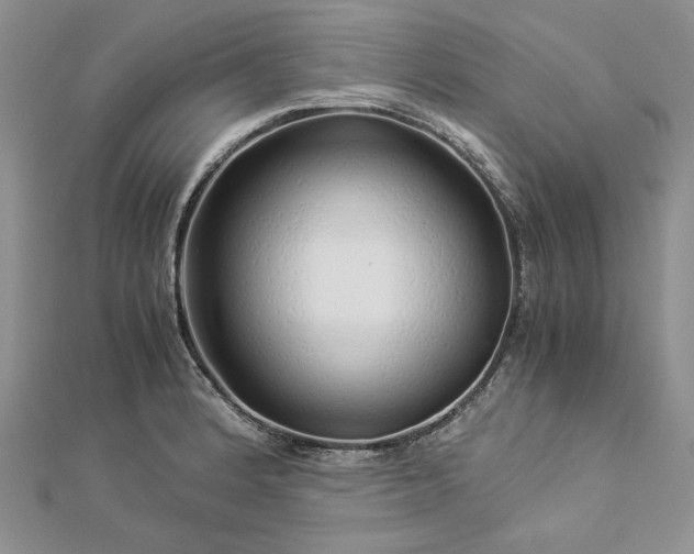 X0000112881184200909041635