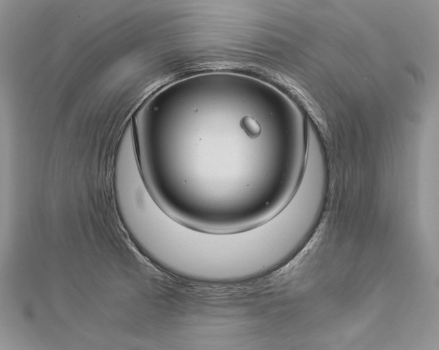 X0000112881185200909041635