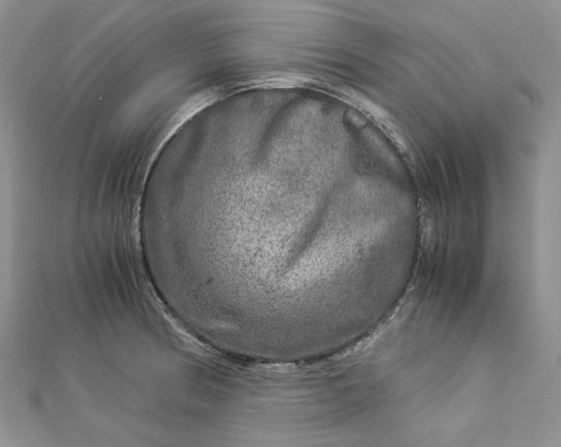 X0000112881186200909041635