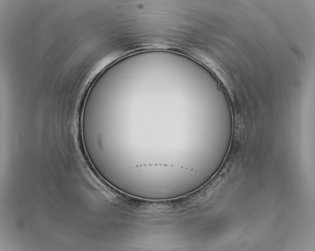 X0000112881187200909041635