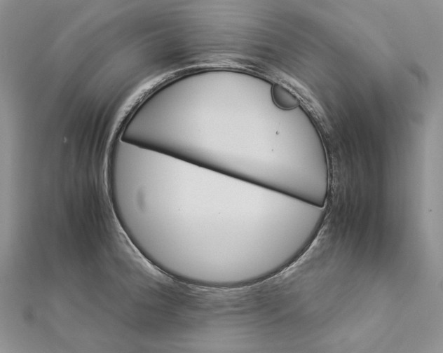 X0000112881188200909041635