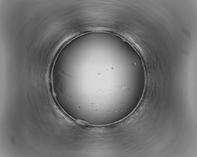 X0000112881189200909041635