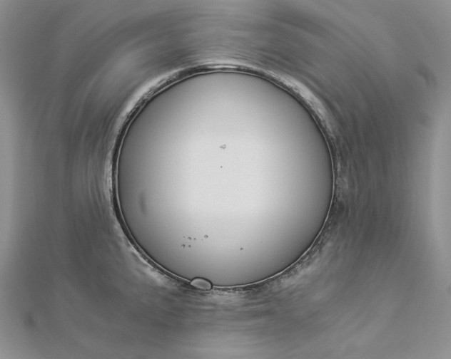 X0000112881191200909041635