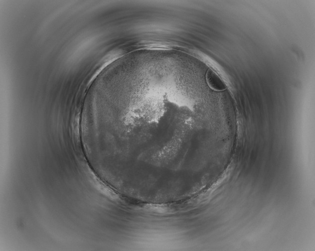 X0000112881194200909041635