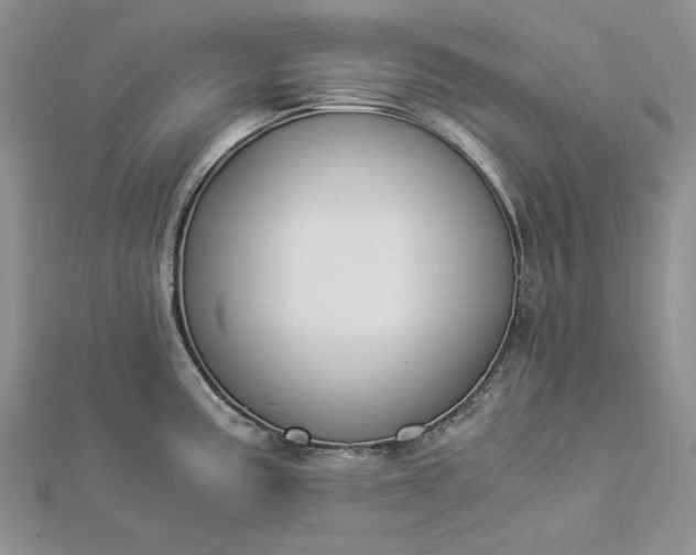 X0000112881195200909041635