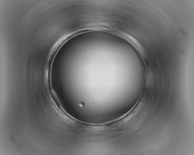 X0000112881196200909041635