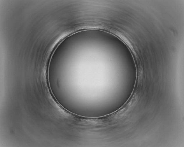 X0000112881197200909041635