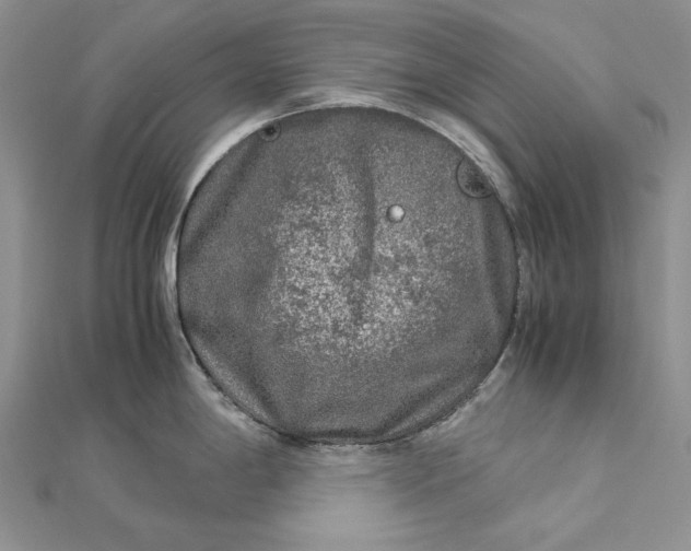 X0000112881198200909041635