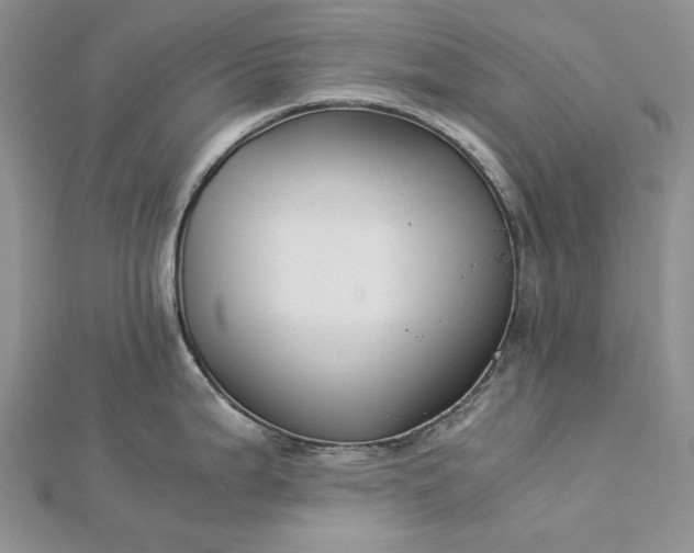 X0000112881199200909041635