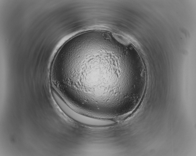 X0000112881200200909041635