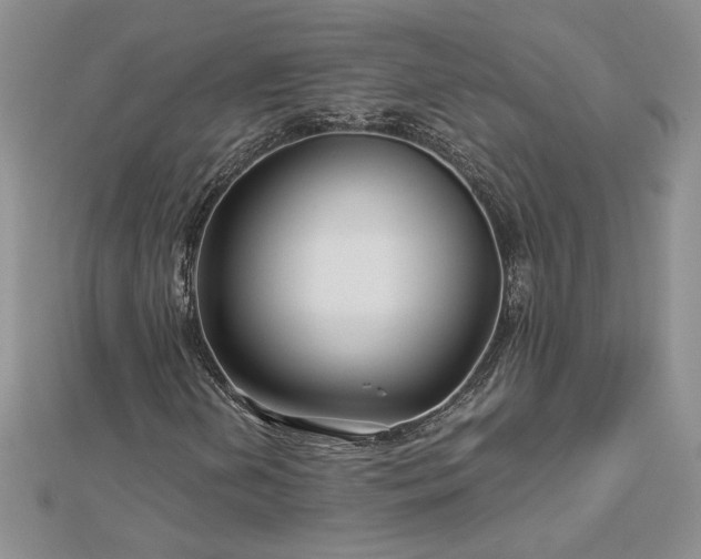 X0000112881202200909041634