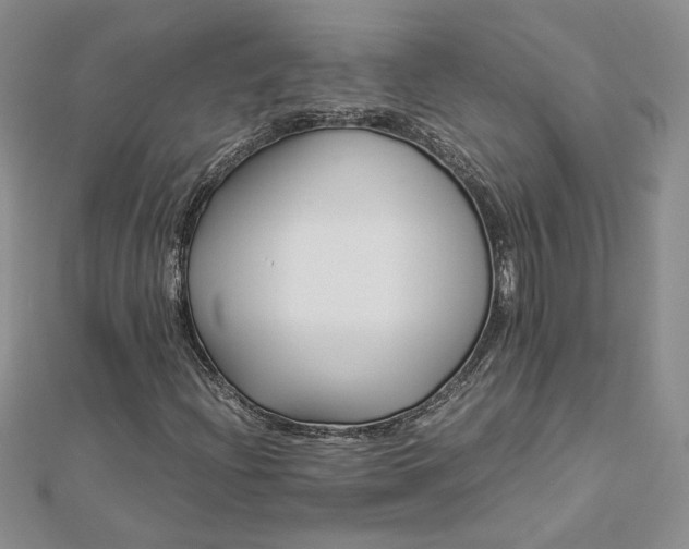 X0000112881204200909041634