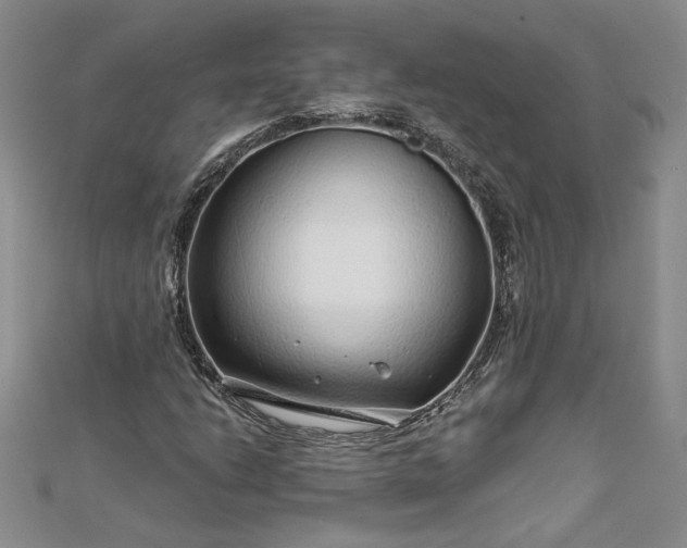 X0000112881206200909041634