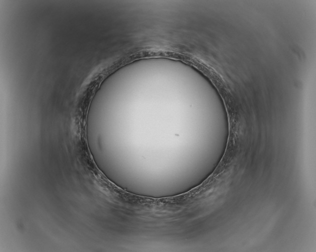 X0000112881207200909041634