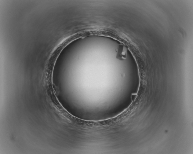 X0000112881208200909041634