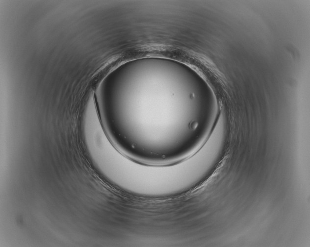 X0000112881209200909041634