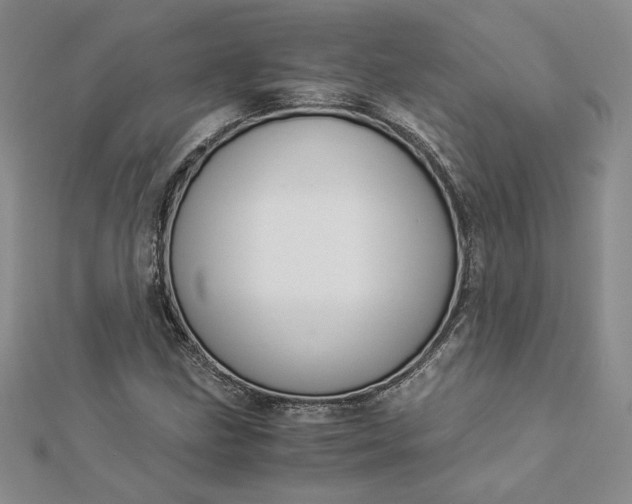 X0000112881211200909041634