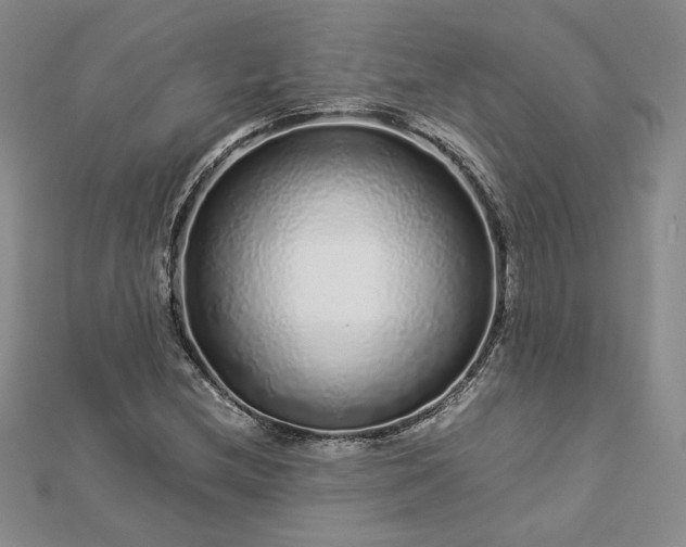 X0000112881212200909041634