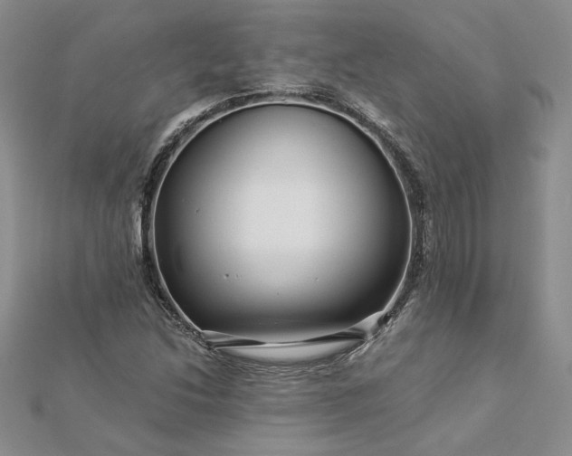 X0000112881214200909041634