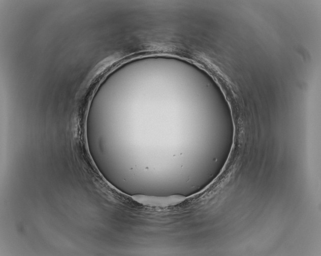 X0000112881215200909041634