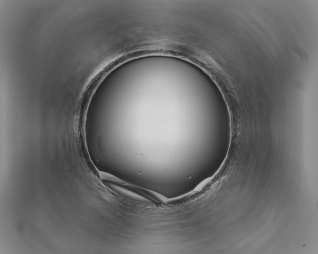 X0000112881216200909041634