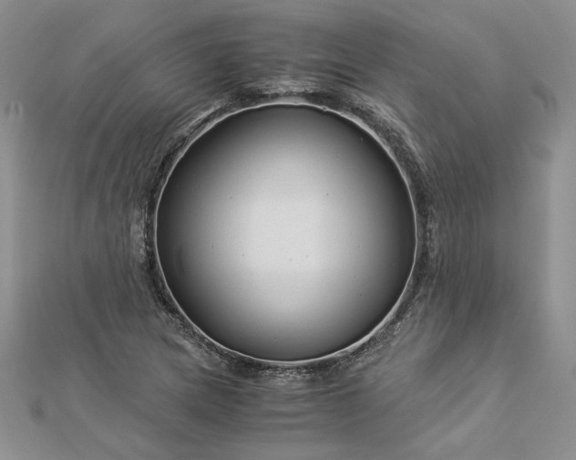 X0000112881217200909041634