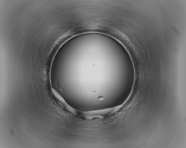 X0000112881218200909041634