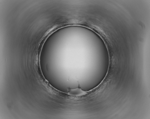 X0000112881220200909041634