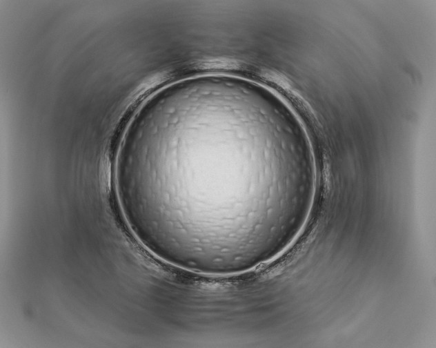 X0000112881221200909041634