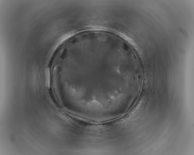 X0000112881223200909041634