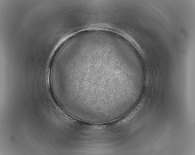 X0000112881224200909041634