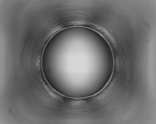 X0000112881225200909041634