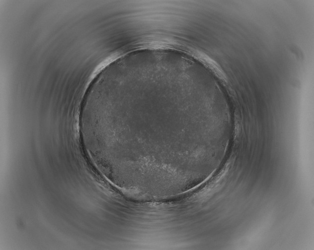 X0000112881226200909041635