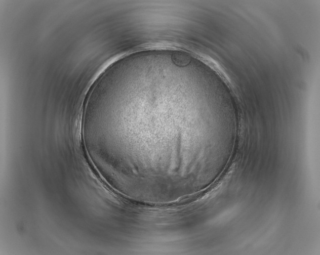 X0000112881228200909041635