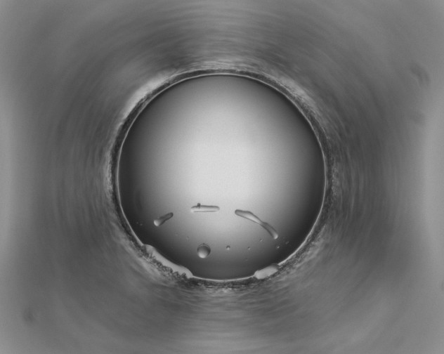 X0000112881230200909041635