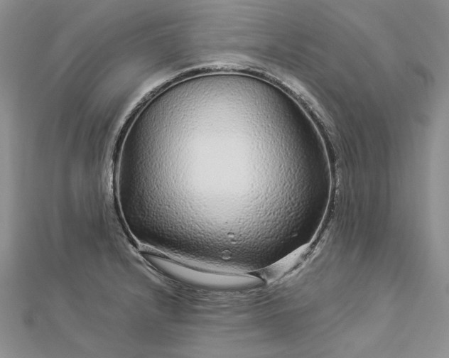 X0000112881232200909041635