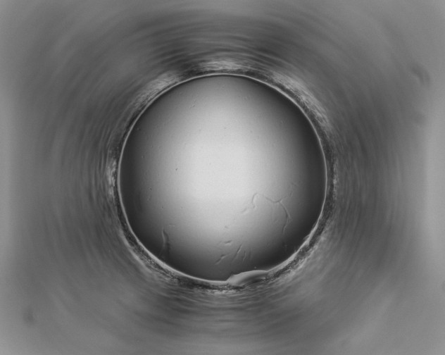 X0000112881233200909041635